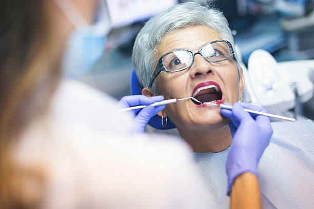 Trusted Hillandale, MD Holistic Dental Care Services Experts
